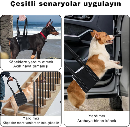 Köpekler için Kaldırma Askısı - Hareketlilik Desteği