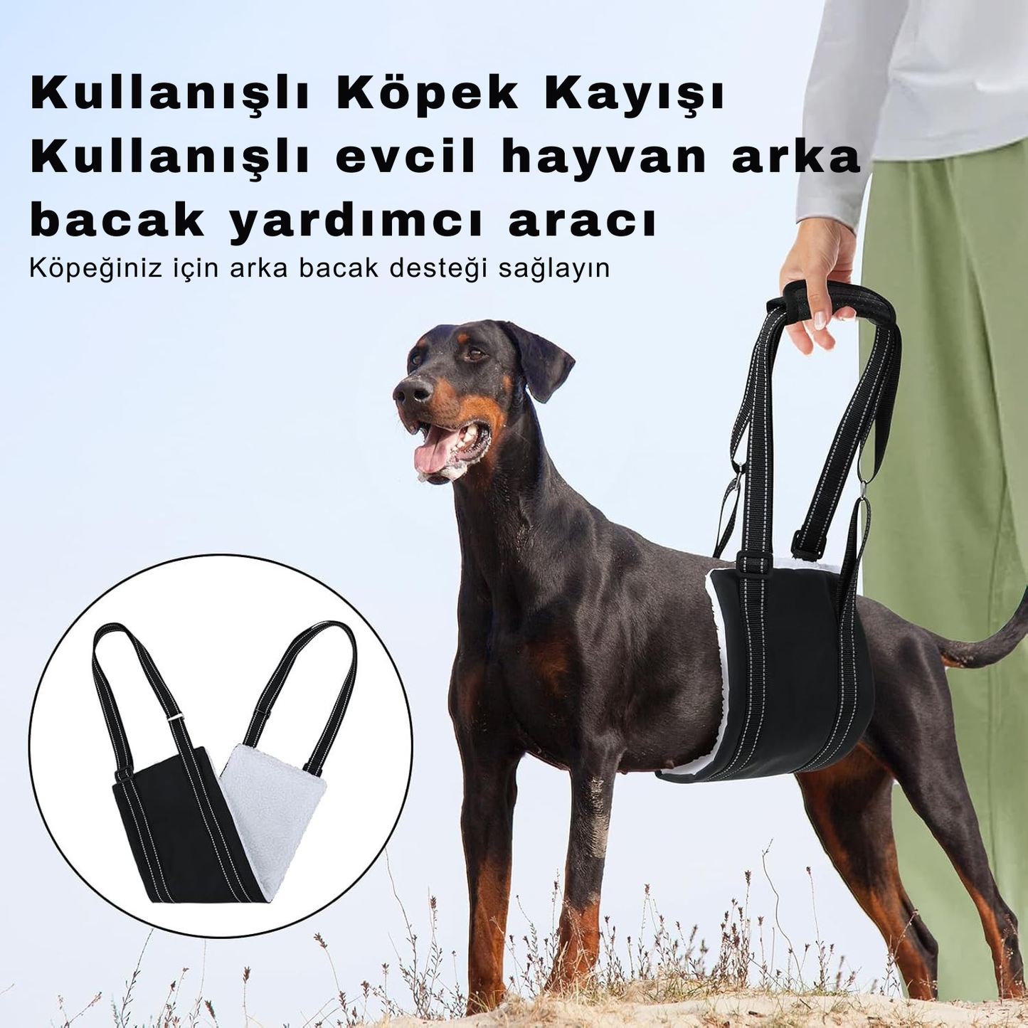 Köpekler için Kaldırma Askısı - Hareketlilik Desteği