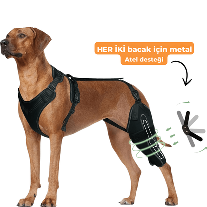 Köpekler için Dizlik Kayışı - Eklem Ağrısı ve Hareketlilik Desteği