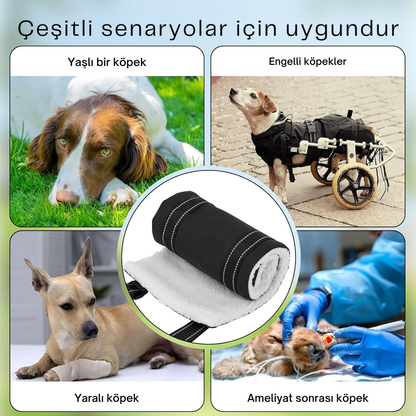 Köpekler için Kaldırma Askısı - Hareketlilik Desteği