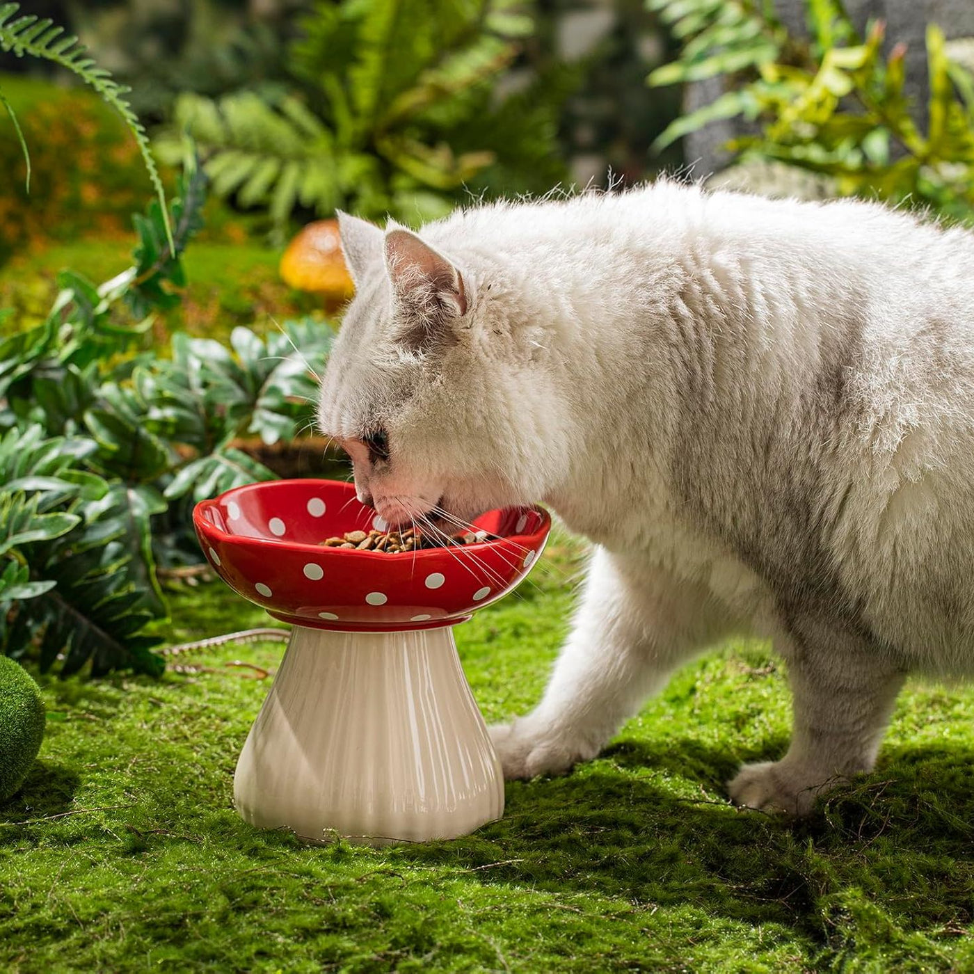 Mantar Yükseltilmiş Kedi Kabı